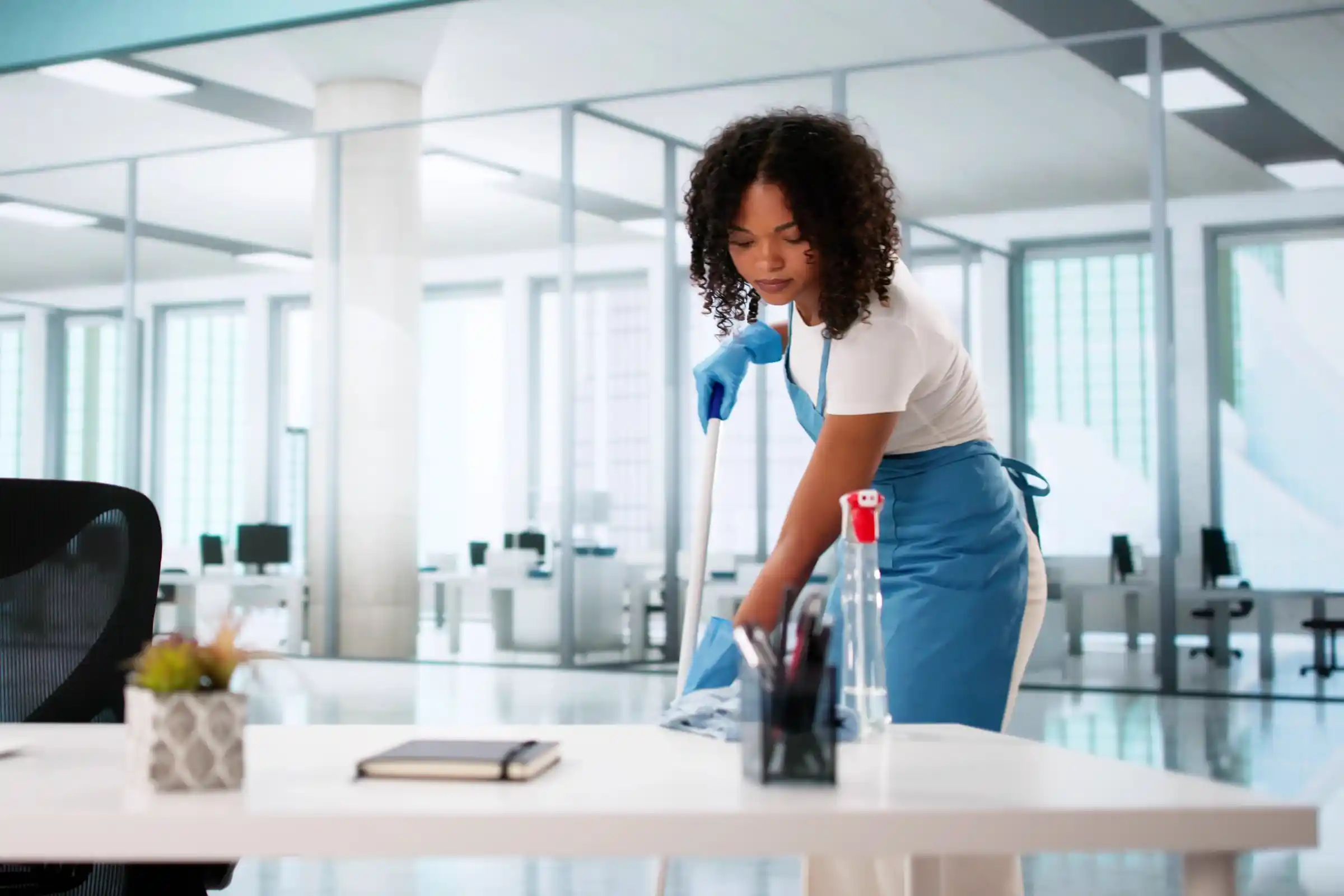 Cleaning Services