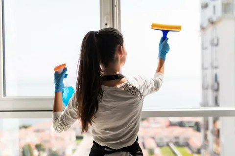 Window Cleaning Services