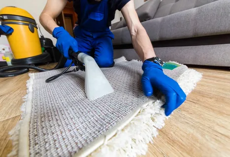 Benefits of Expert Carpet Cleaning