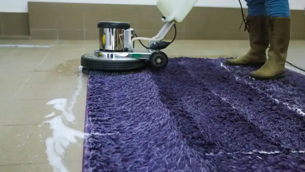 Carpet Shampooing Services