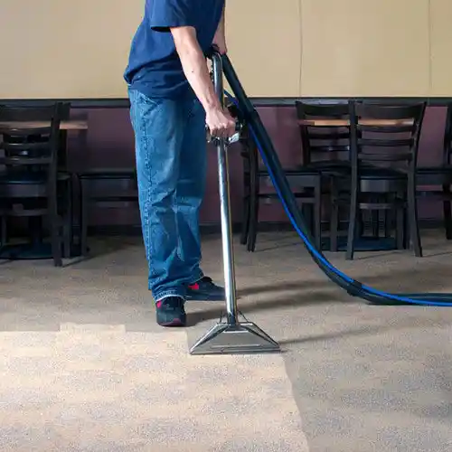 carpet extraction