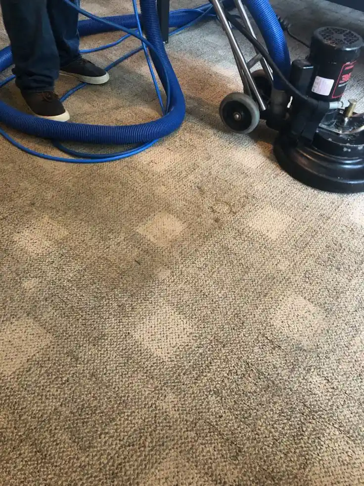 Carpet Extraction Built Around Your Business