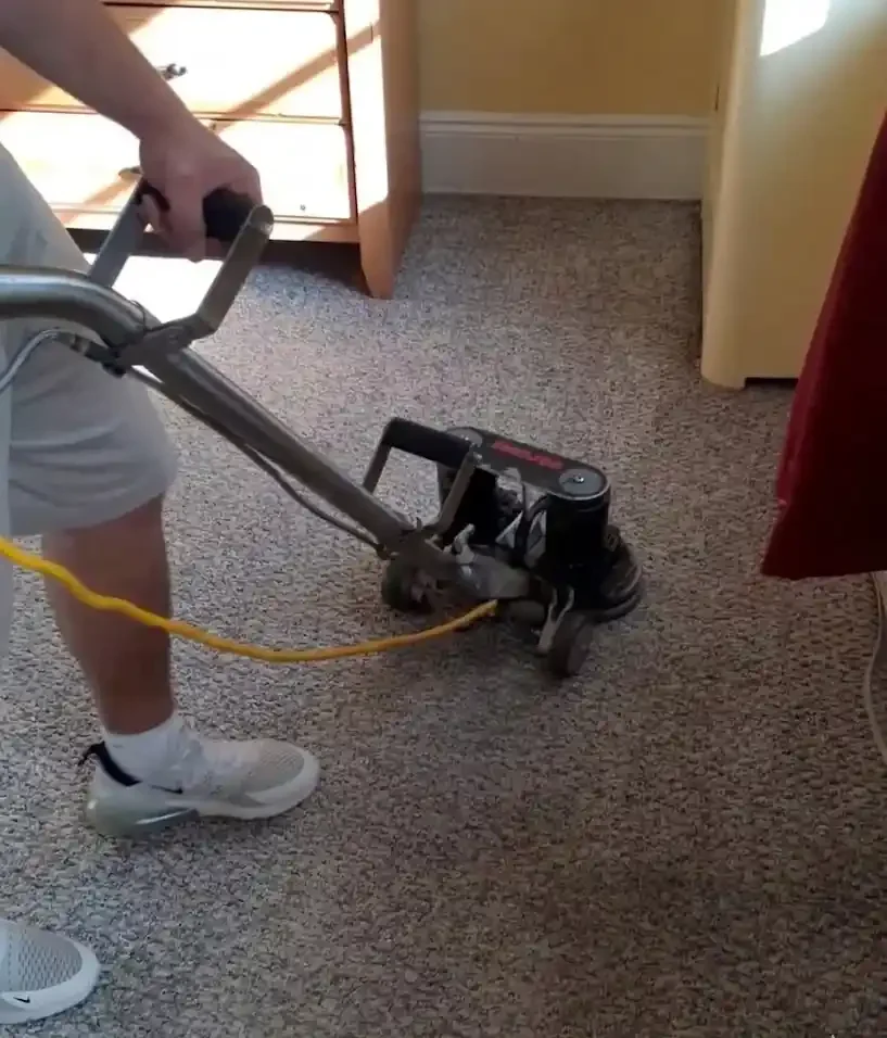 Custom Clean for Carpet Extraction?