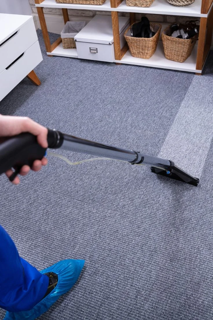 Commercial Carpet Cleaning in Mason