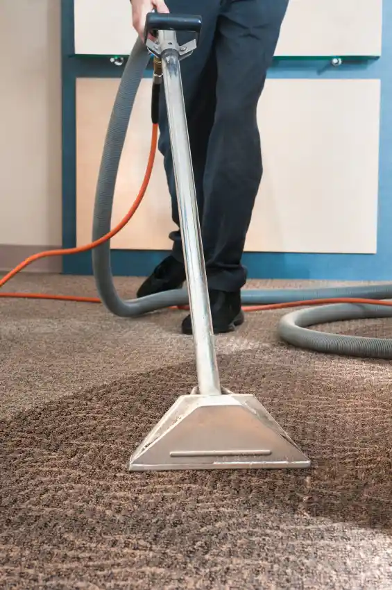 Commercial Carpet Cleaning vs. Regular Vacuuming (1)