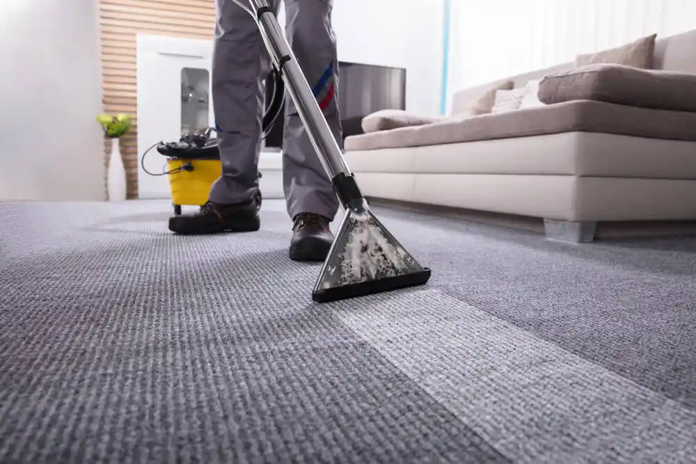 Commercial Carpet Cleaning vs. Regular Vacuuming
