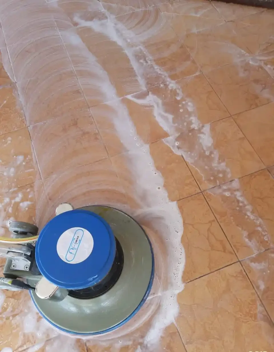 Commercial Carpet Shampooing for Different Business Spaces (1)