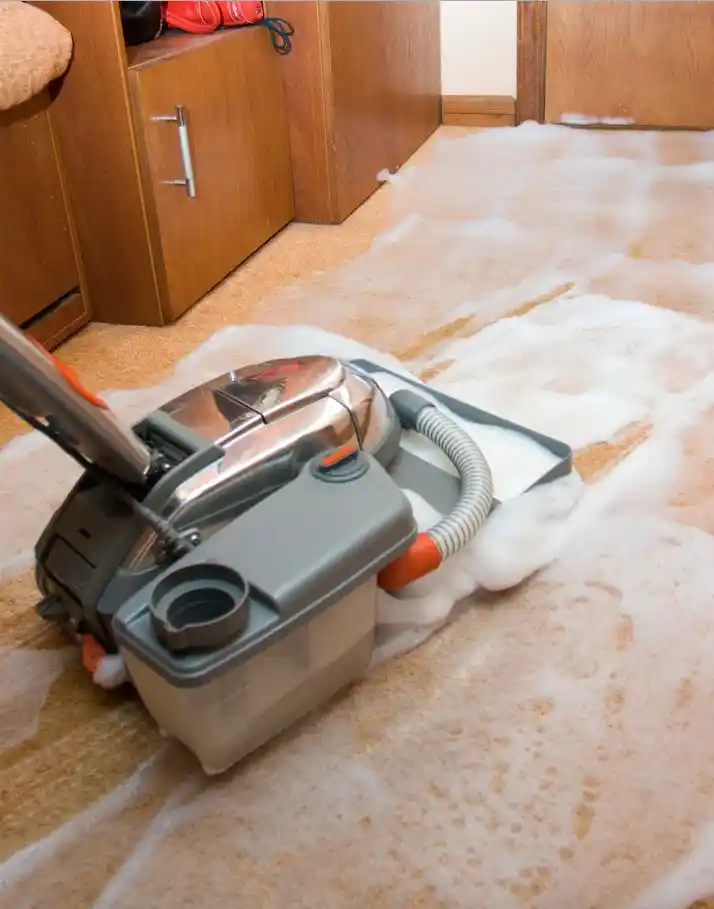 Commercial Carpet Shampooing for Different Business Spaces