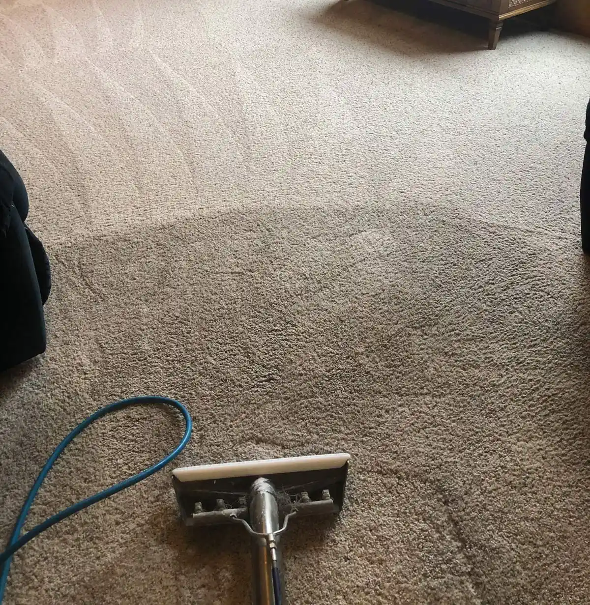 Restorative Carpet Cleaning for High-Use Spaces