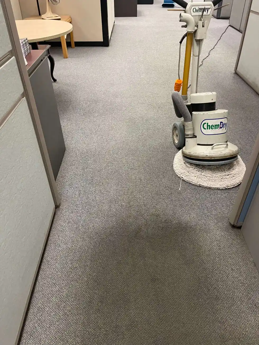 Why Choose Green’s Custom Clean