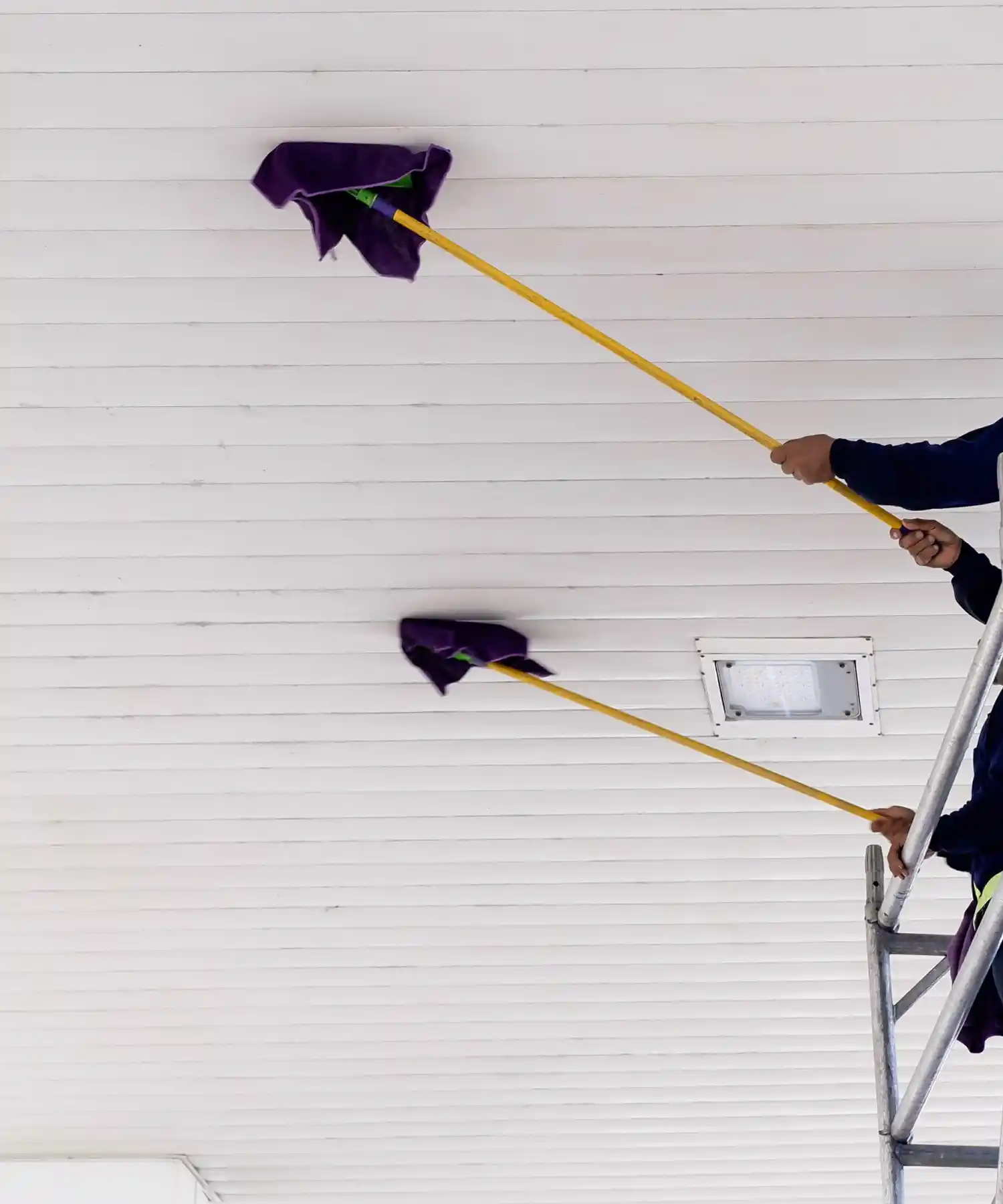 Why High Dusting Matters