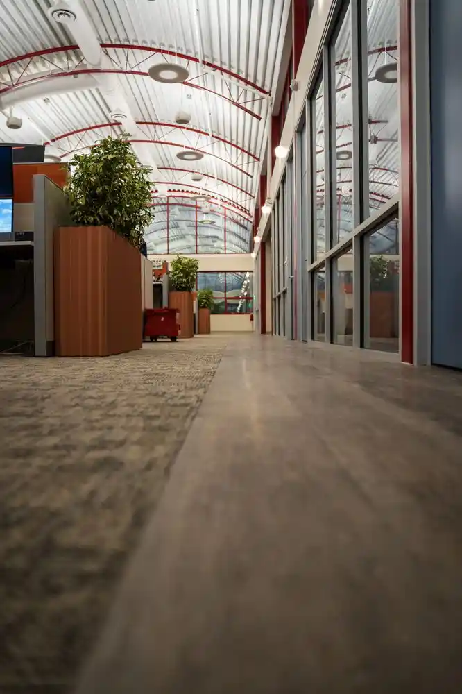Floor, Carpet, Window, and Project-Based Cleaning
